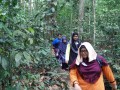 Tn 0987 IMG20151107150403